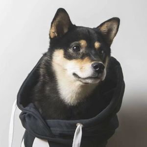 Meet your Posher, Pan